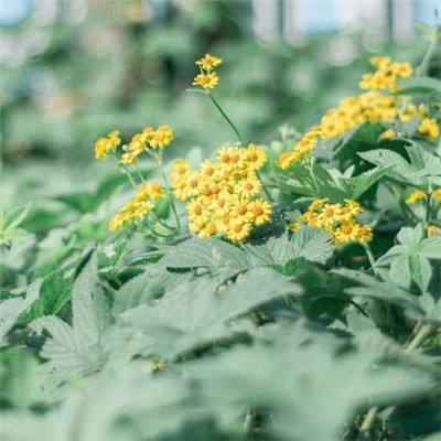 热血格斗手机版下载